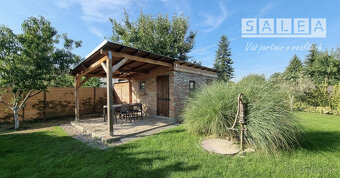 Krásna záhrada v Šali 305 m2 s chatkou pri futbalovom štadió - 3