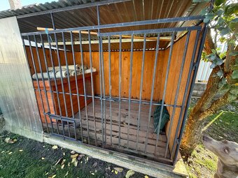 Koterec pre psa + zateplená búda - 3