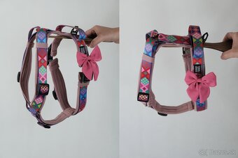 Postroj pre psa na mieru - 3