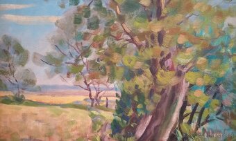 Predám starý obraz_predaj/výmena - 3