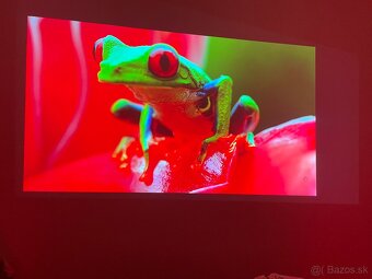 Xgimi halo plus - 3