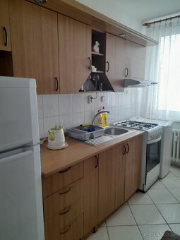 Dam do prenajmu 1 izbovy byt - 3