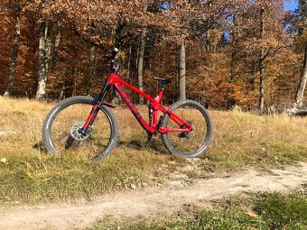 Trek Remedy 9 Race Shop Limited - 3