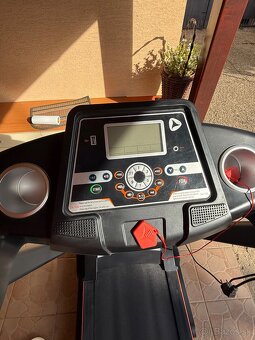 Beziaci pas Duvlan Cairo - 3