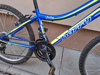 Bicykel Harry Jetty 24' - 3