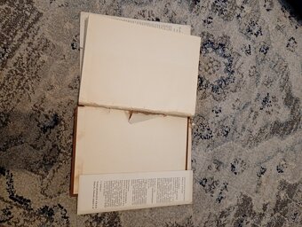 Technika Civilizace - L. Mumford - 3