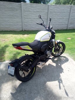 CF MOTO CL-X 300 - 3