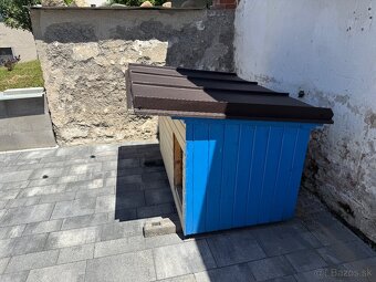 Ručne vyrobená izolovaná búda pre psa – TOP stav - 3