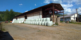 Seno , Senaz - 3