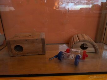 Predám akvárium pre škrečok, morské prasa - 3