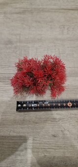 Filter a dekorácia do akvária - 3