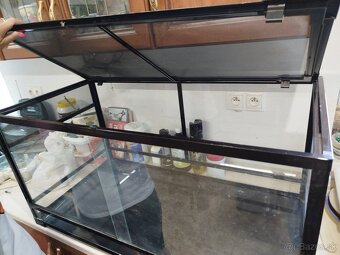 Terarium - 3