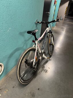 CTM Charisma 2.0 - 3