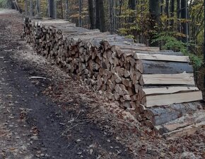 bukove drevo, v dlžkach, metrovica, štiepané - 3