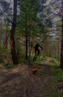 Orbea Rallon M20 - 3