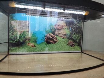 Aqvarium - 3