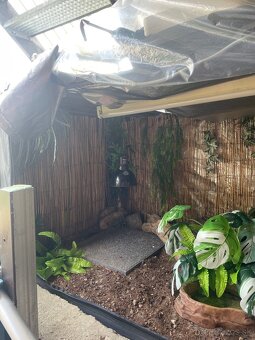 Predam growtent 160x80x80cm - 3
