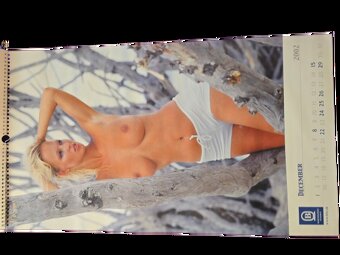Kalendar 2002 Belohorcova - 3