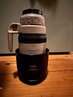 Canon 100-400mm f/4.5-5.6 L IS USM II - 3