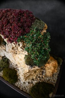 Bonsai Krajinka v miske 78x38cm - 3