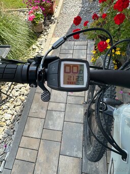 CORRATEC X-VERT RACE TRINITY TUBE GENT Bosch 625 - 3