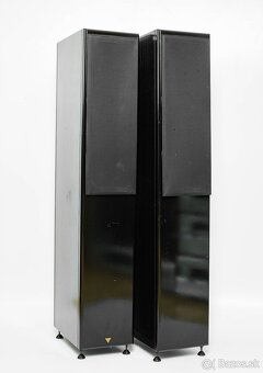 Vienna Acoustics Apis - 3