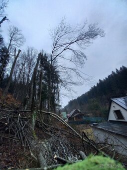 VÝRUB/OREZ STROMOV, LACNO A BEZPEČNE - 3