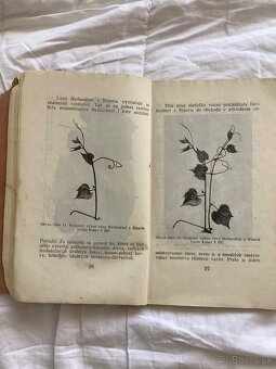 Vinohradníctvo 1926 - 3