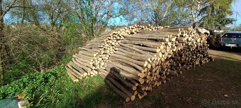 Agatove koly stlpy lacno cerstve - 3