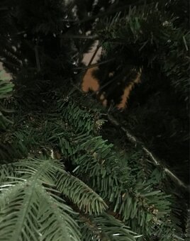 Vianočný stromček - 3