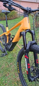 Predam Orbea Wild 2024 L - 3