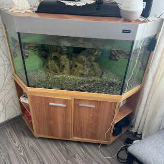 Akvarium - 3