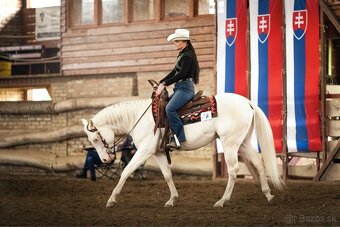 Pripúšťanie cremello žrebcom AQH - 3