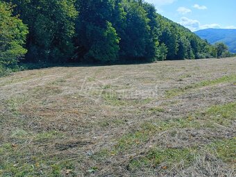 Predaj - záhrada - Pozemok pri lese… - 3