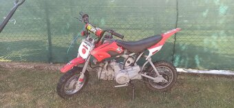 predam pitbike 110 - 3