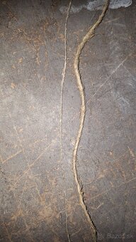 Ľanové priadze - 3