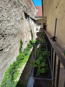 232a Kancelárie na prenájom Košice - centrum - 3