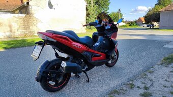 Gilera Nexus 500 - 3