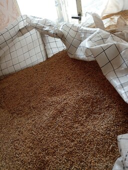 Šrot, zmes krmovin - 3