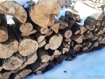 Palivové drevo - 3
