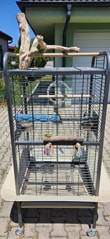 Predam klietku pre vtaký - 3