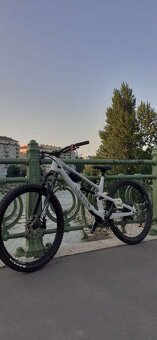 Canyon Spectral Carbon “XL” - 3