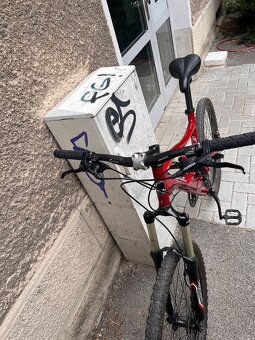 MTB MARIN QUAD XC “29 - 3