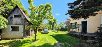 Chata s ovocným sadom a rozľahlým pozemkom na Vinici - 3