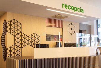 Administratívne priestory v polyfunkčnom komplexe Viktória, - 3