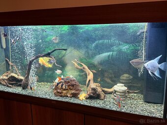 Predám akvarium Juwel RIO 240 - 3