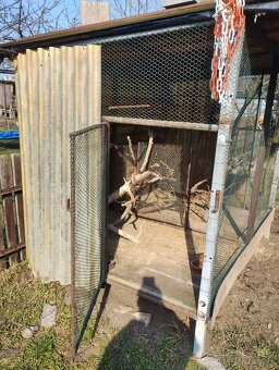 Klietka pre vtáky - 3