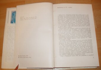 Lovy v Karpatech - 3