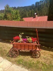 Krásne zrenovované záhradné vozíky - 3