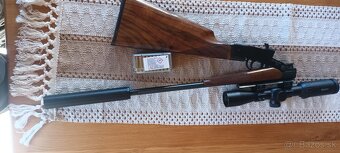 22wmr - 3